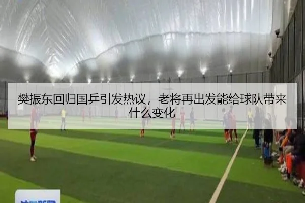 樊振东回归国乒引发热议，老将再出发能给球队带来什么变化